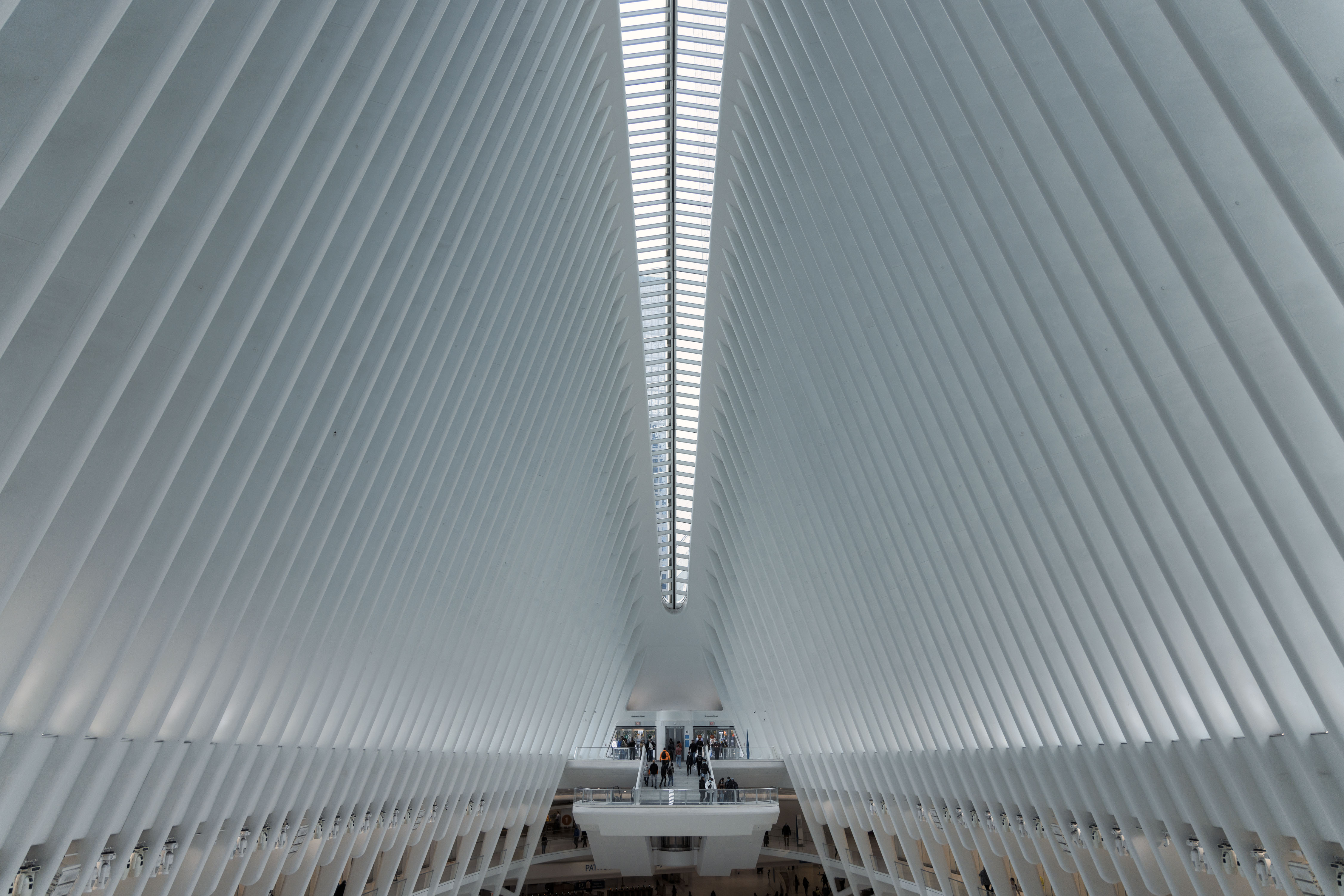 October 29, 2021-132743-Edit.jpg